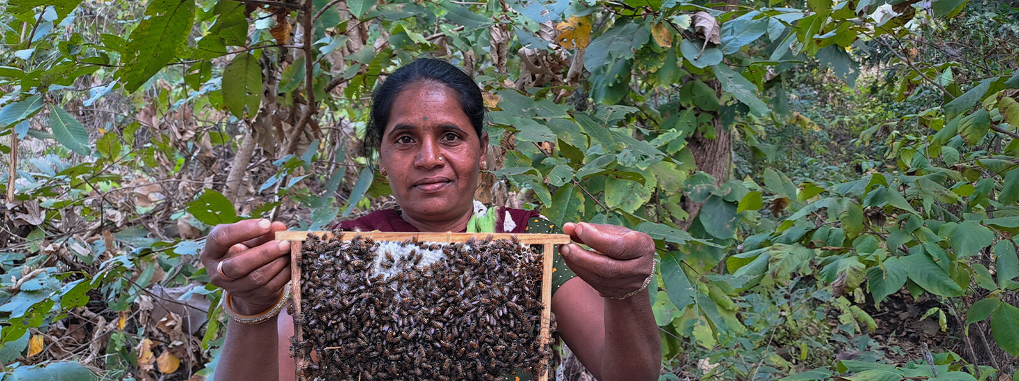 Under the Mango <br><span>Tree Society</span>